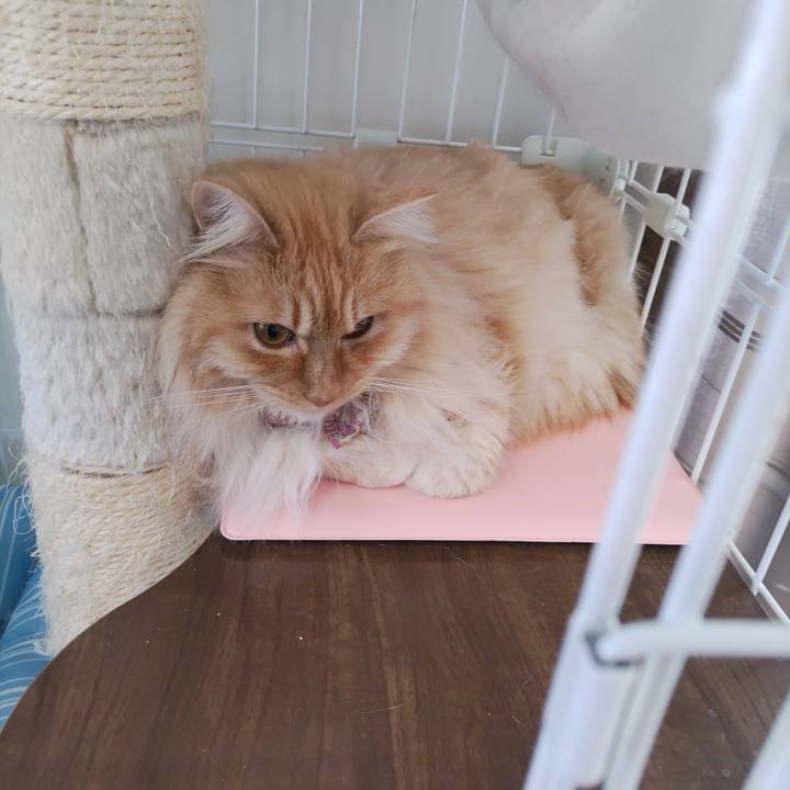 0d724bbf efc1 4993 89e1 3ca3751ff846 1677897882031