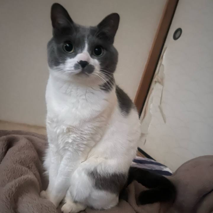 0d727d62 7109 48c7 82fa fd6de61de9c8 1740609261869