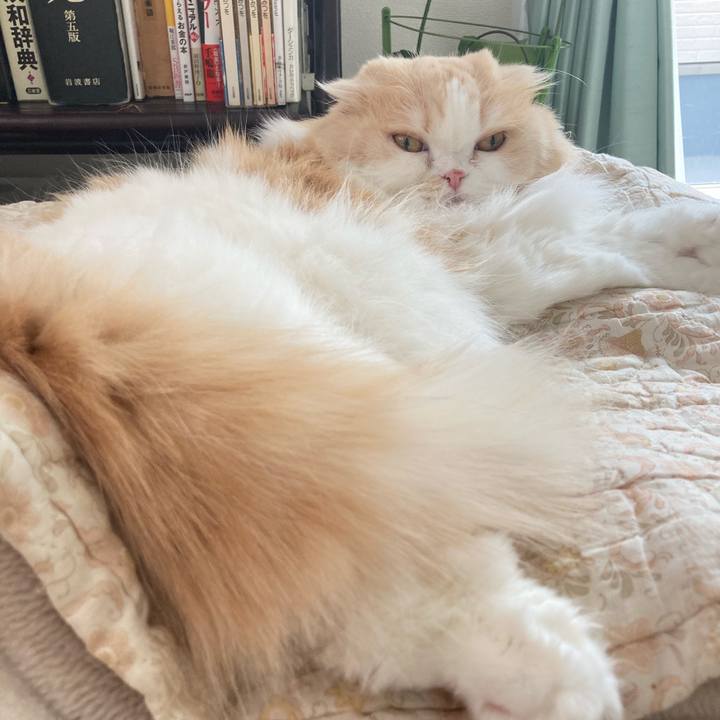 0d728755 74d6 4646 a274 a6b84f4ff949 1616940079808