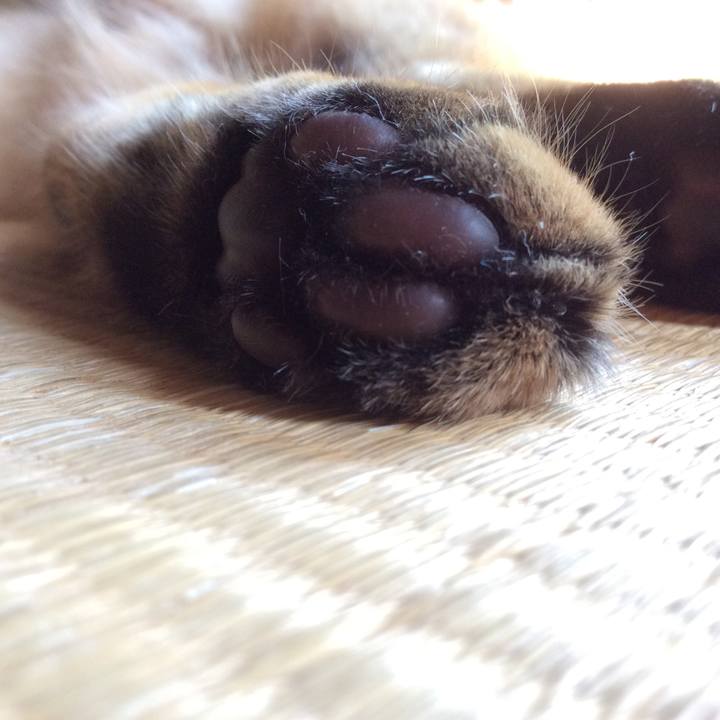 0d7289d0 a679 46b2 8777 2abb622c4d35 1564468879290