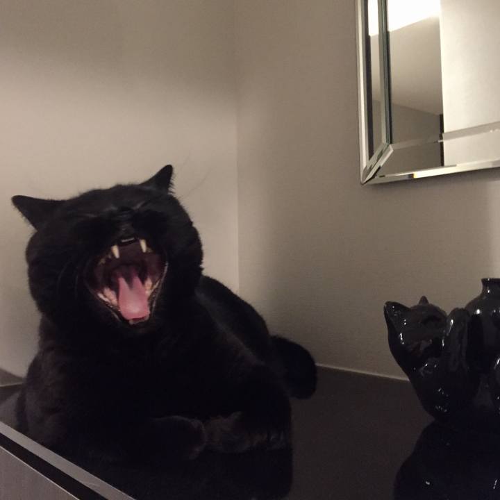 0d72a759 7492 4e96 88e6 96885e4220b1 1568812013977