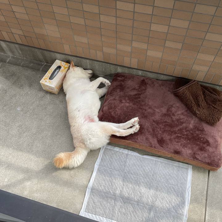 0d72f4cd 4527 47c2 a789 ba69faafdcfb 1635840345596