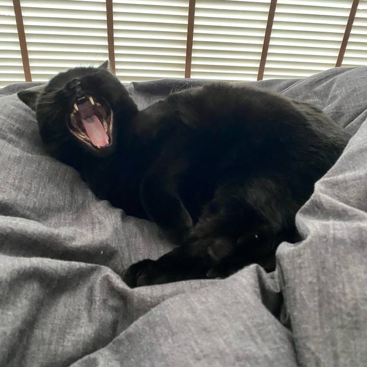 0d730b25 1f27 4a25 b23b 74ecbfdc4c02 1706011566757