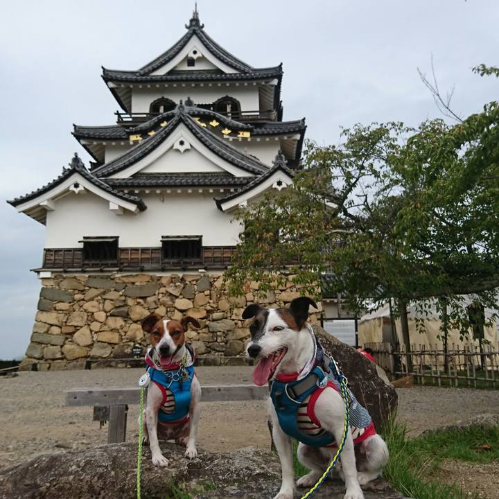 0d731e72 9e2a 4e24 be88 e513315f4ed3 1567382008890