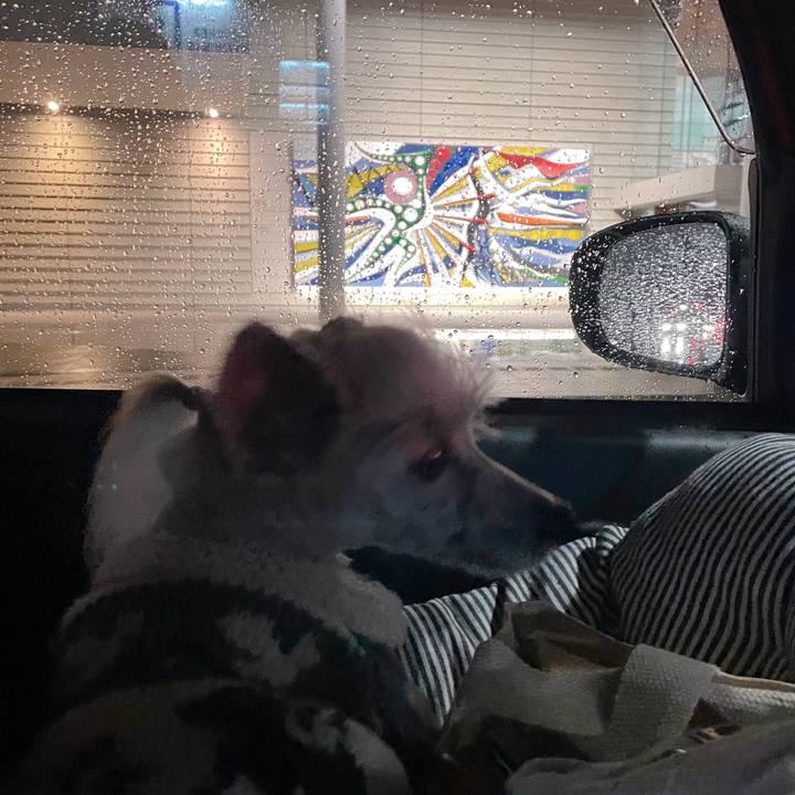 0d7331b5 917e 43de 83b3 688ee000ae28 1772012260471