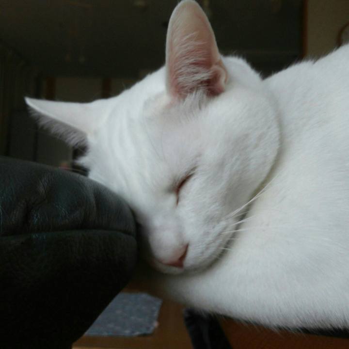 0d73331e d1ff 41d4 b506 2403e3f1e8bc 1524788470773