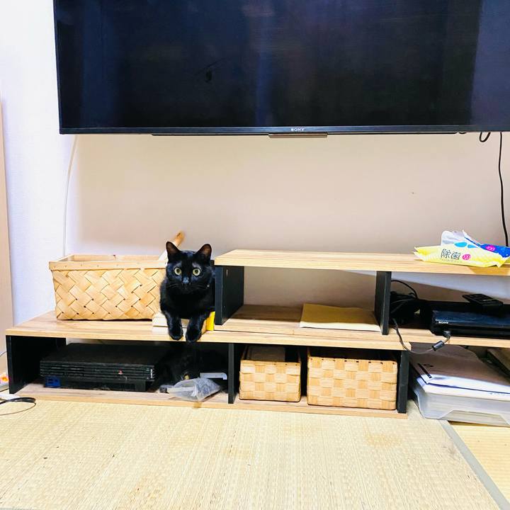 0d733735 820a 4ea6 b55e 8a33198c59e6 1723155082730