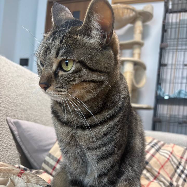 0d739578 79f3 450a bb68 139ea3fca491 1767923974890