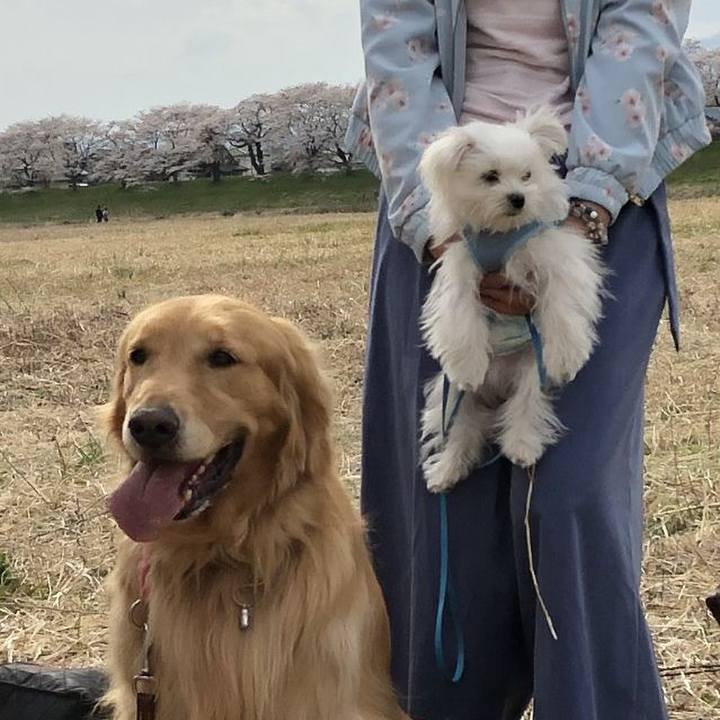 0d73a3e3 01ba 4bbd a925 e670a6232c5e 1555580391825