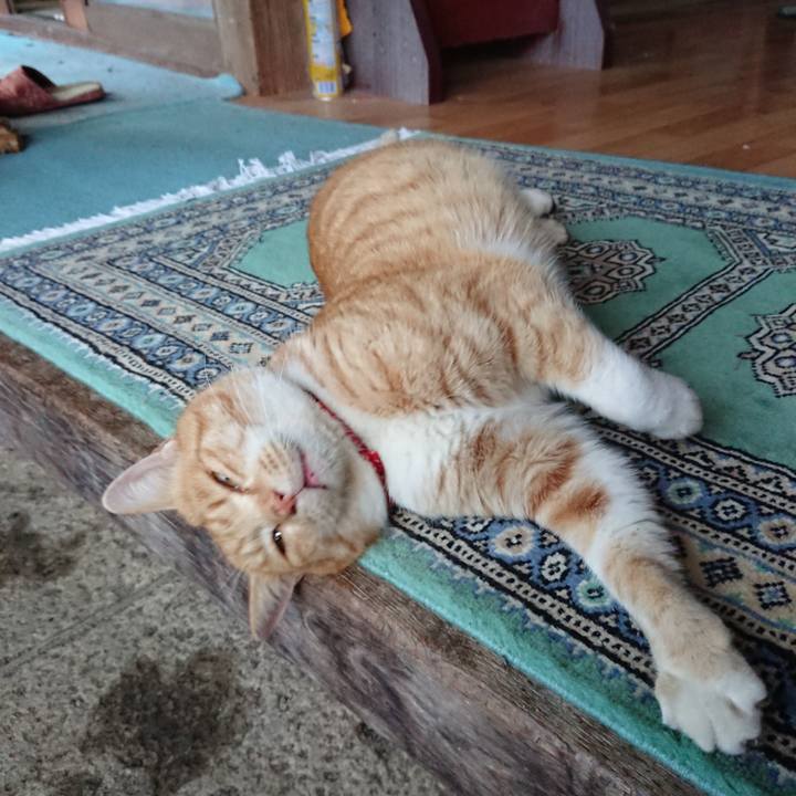 0d73ad38 f26b 4247 93c7 daaee9e87ba7 1577517343522