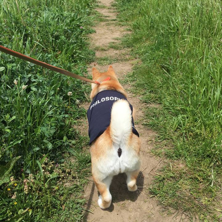 0d73c508 fb41 48cd a711 042d473ee4ea 1556518971885