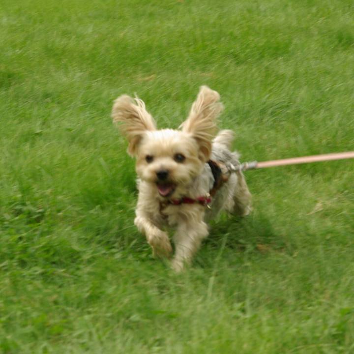 0d73e905 9ca1 49ea 8f0f f61c8b968cce 1537083816359