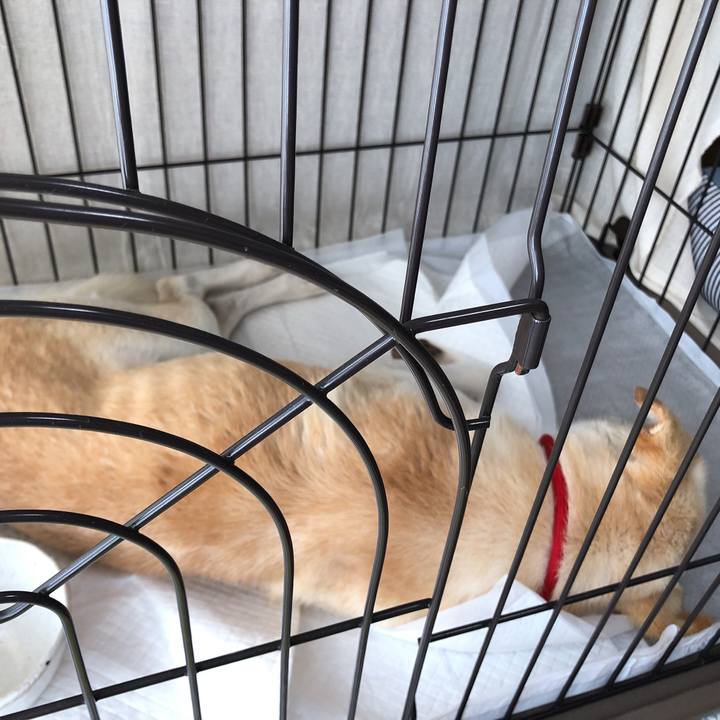 0d74325b bcd0 48a4 bbb6 e8eea03f6bf5 1623317620563