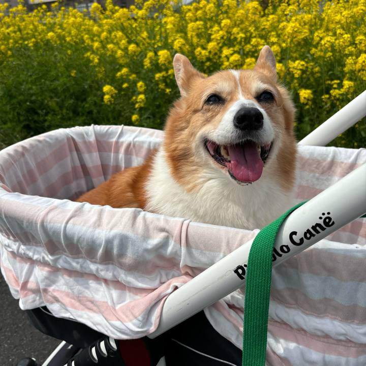 0d748822 4d7f 4ff3 95a3 33d37ed04787 1744336898554