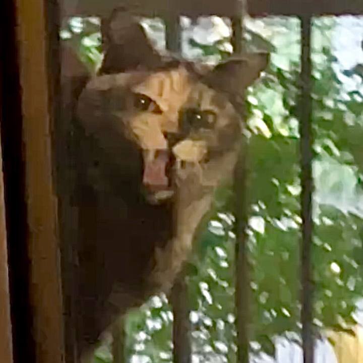 0d74a1e7 48f1 4831 ab35 932e223c33a1 1733736894031