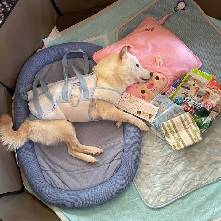 0d74c32a caed 45ca abec 9d5748e737d8 1660657112326