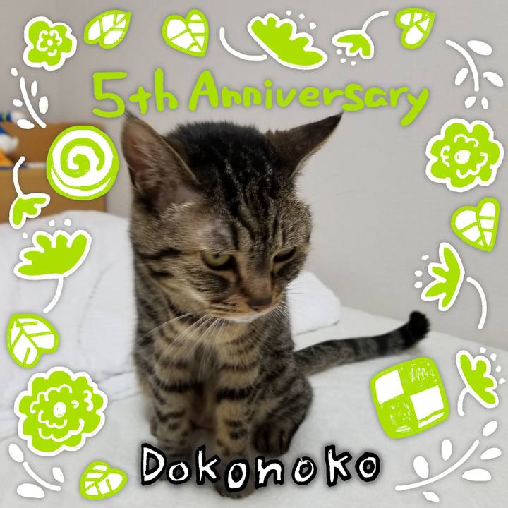 0d74ce98 588d 41f6 b4ff be2c2dc0e8e0 1623101334312