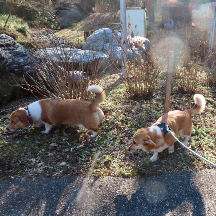 0d74f3be e475 49a6 b10f 1dd9651d0b62 1645930783183