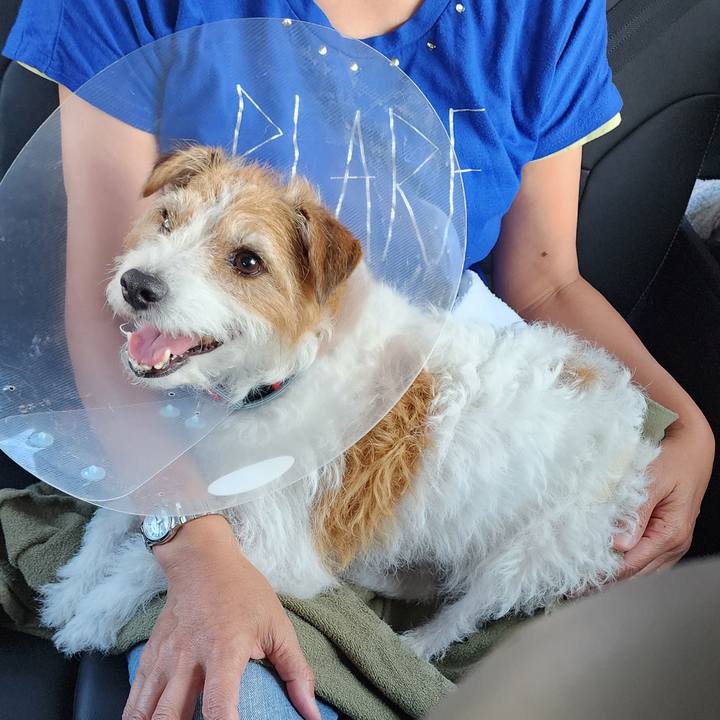 0d75010a 7d74 470c b6b4 e7679cfe6df1 1718270573383