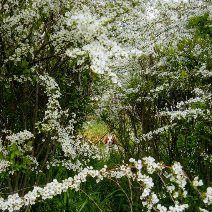 0d7504df 6e88 4737 b3cc ab795cad1d72 1554192248265