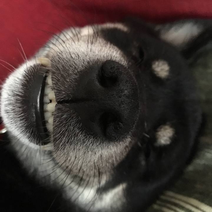 0d750629 cb53 4953 8611 6290736f0010 1567186077292