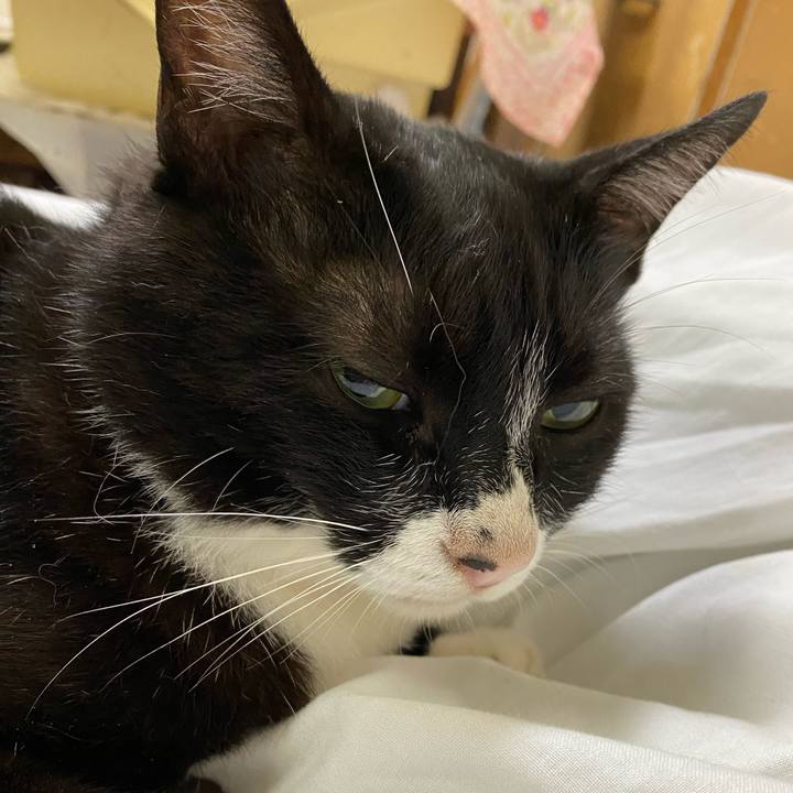 0d7526bd 9576 4afc 928f 24a3431d6157 1593354631340