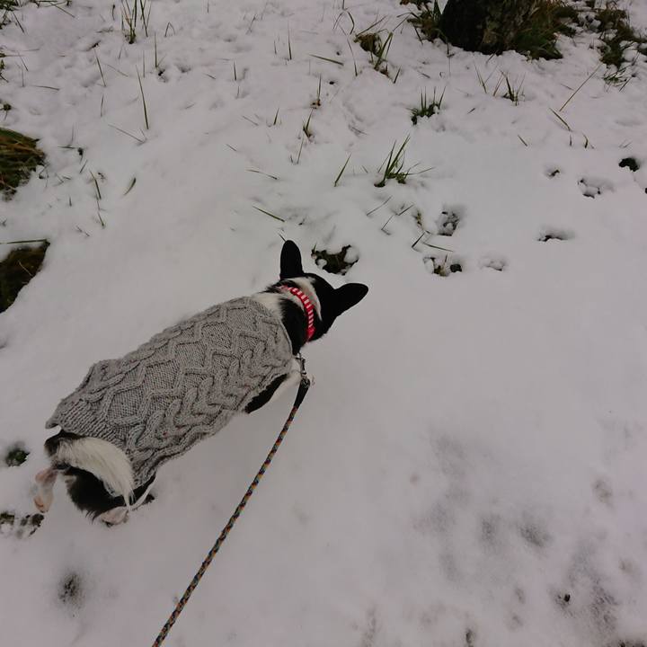 0d7530d7 c4b3 4401 a1d1 075e9e32c6ae 1548641413940