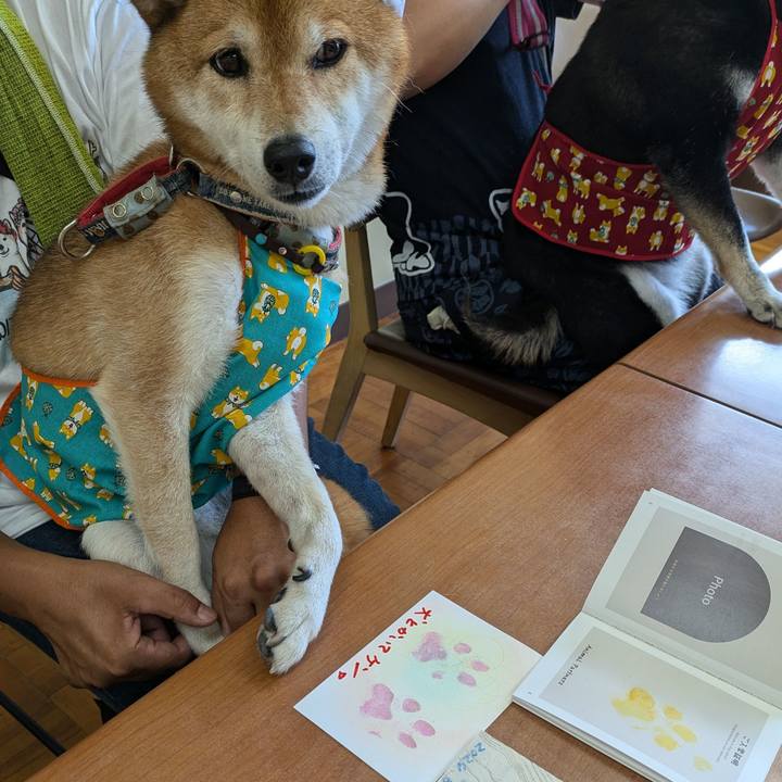 0d75386d bafa 4d83 8ce6 af691c8888eb 1722848764261