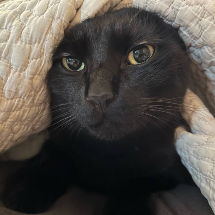 0d755b45 e9d3 43bb 9f3f 0cf0a32c9b08 1700868916478