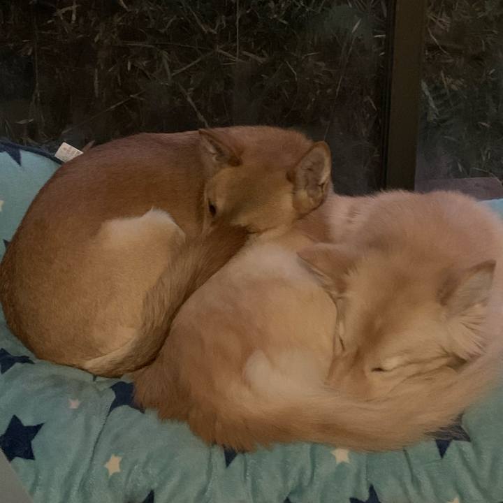 0d756283 e6a3 4207 9543 12aa98ad99ce 1578038801046