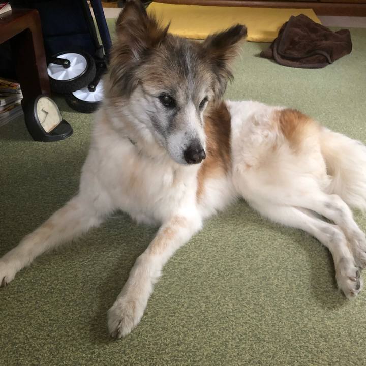 0d75b470 c097 4e77 a817 0e27378f0a40 1542592442953