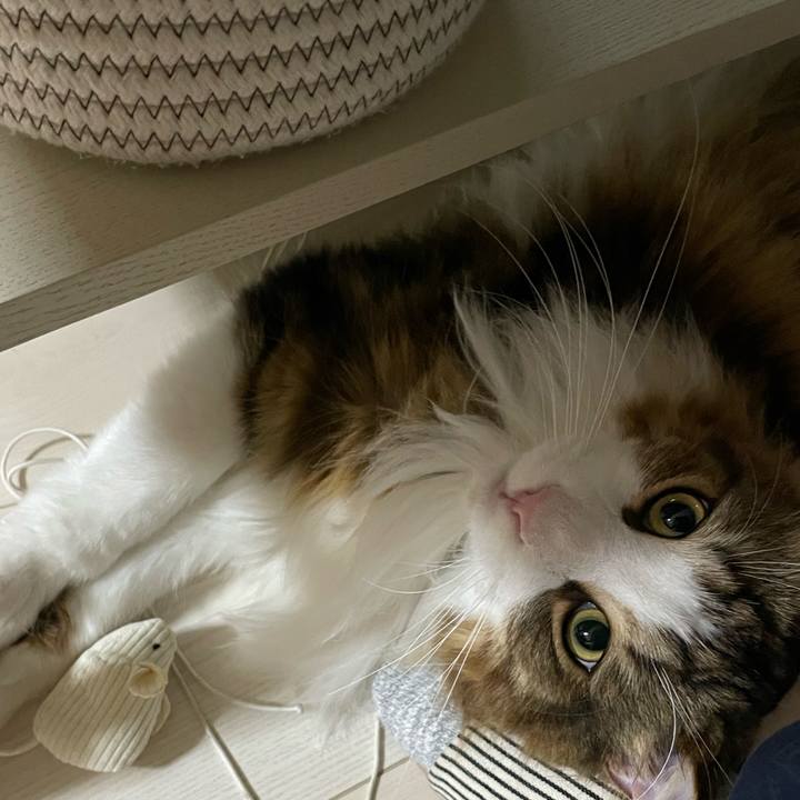 0d75dbff bc1e 4b42 b3ab bc202481af3d 1668374853393