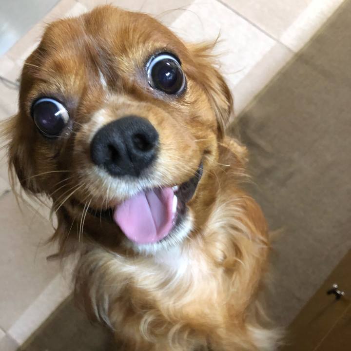 0d75dfa5 17f2 43ff 92ef 2a7f4c1b358c 1528805511258