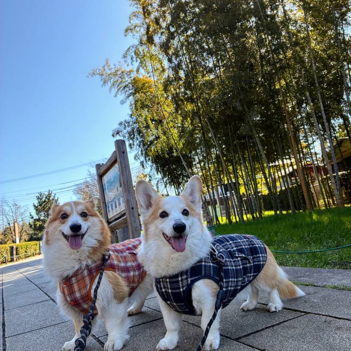 0d760b20 d88d 4579 8a5c 53206c63b239 1773215693244