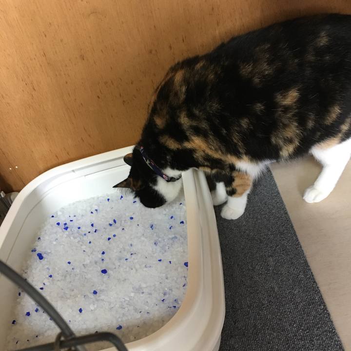 0d761730 9524 4301 85a2 a4c547199e9b 1511079247454