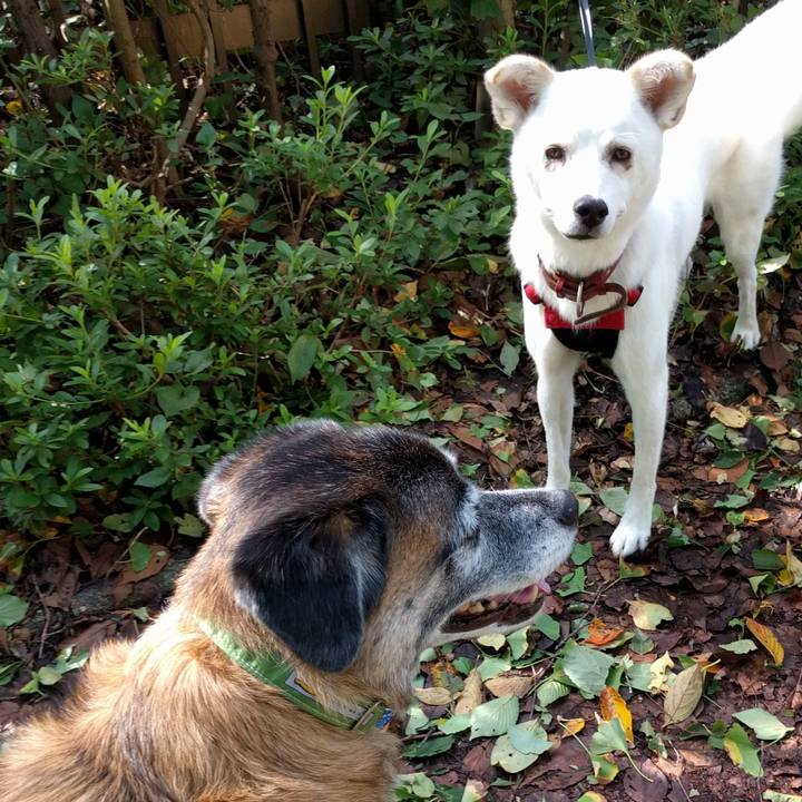 0d762270 fada 44af 9425 9e3e4df51c40 1538355031618