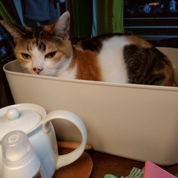 0d7633e7 2c41 46af 98bf 679e88231263 1611221857825