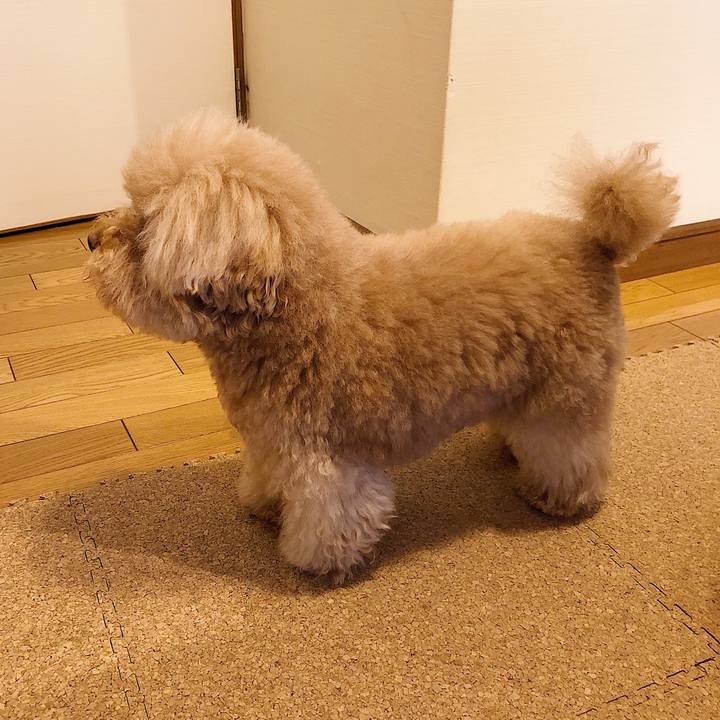 0d763c82 827f 4292 9bff ca1faf824707 1550487282274