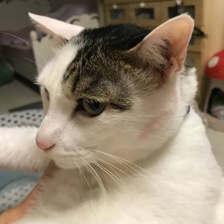 0d7663e3 1253 4879 9e06 50350422c385 1627566451692