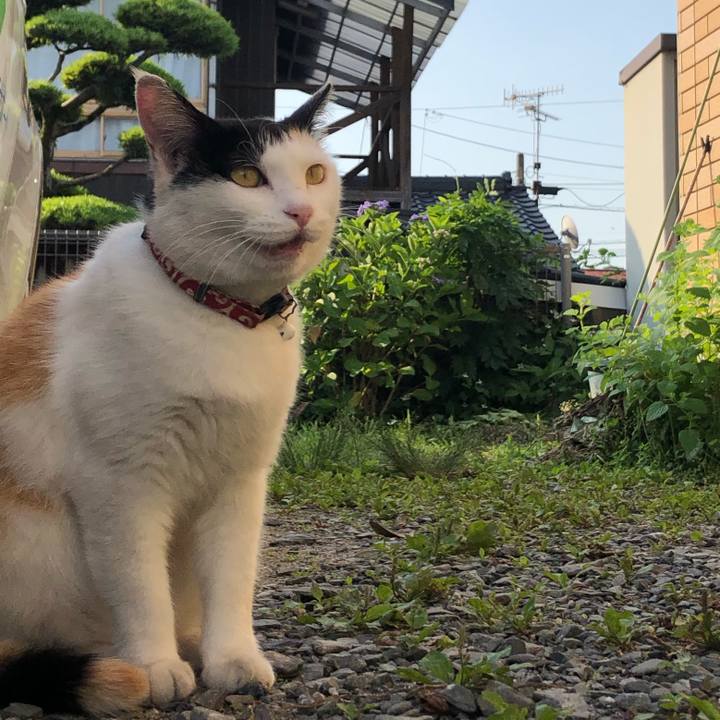 0d7688b6 9c36 4969 b467 7d043322cf9d 1622542299383