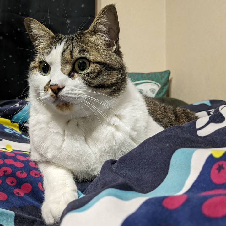 0d76a73a 535c 4711 a28a f21a894e7db1 1714775410914