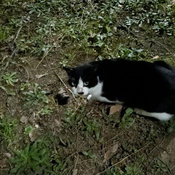 0d76b412 e041 4eee aa8c 47b675104724 1750776272145