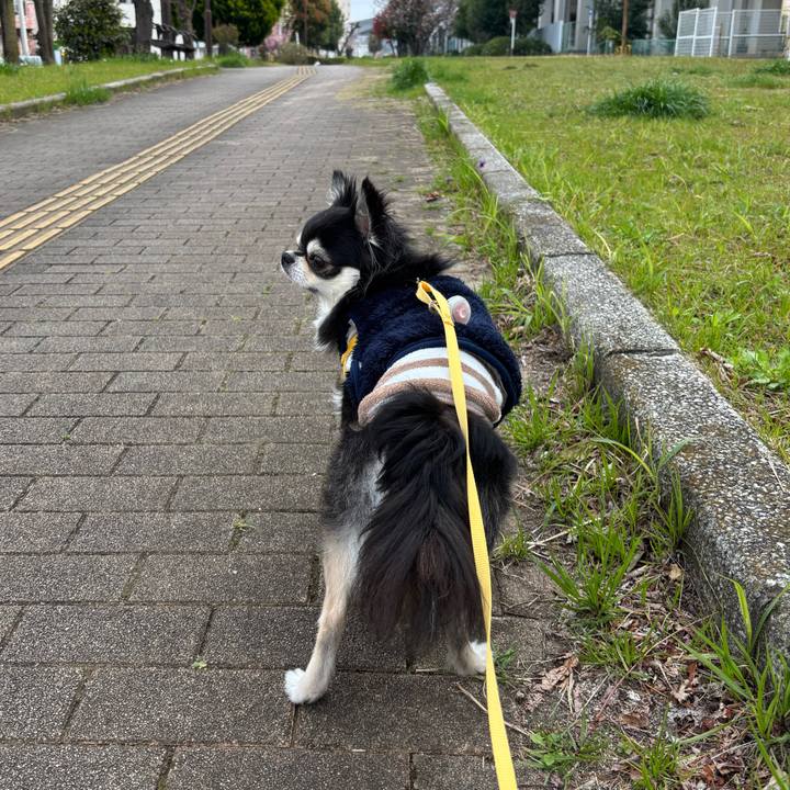 0d777dde 92f4 4b10 9e17 729e9b8640f9 1743955196539