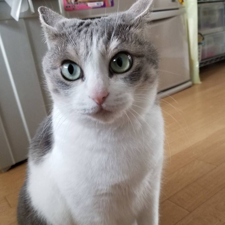 0d778026 7fae 4160 8b62 5bad32f7109e 1594040440890