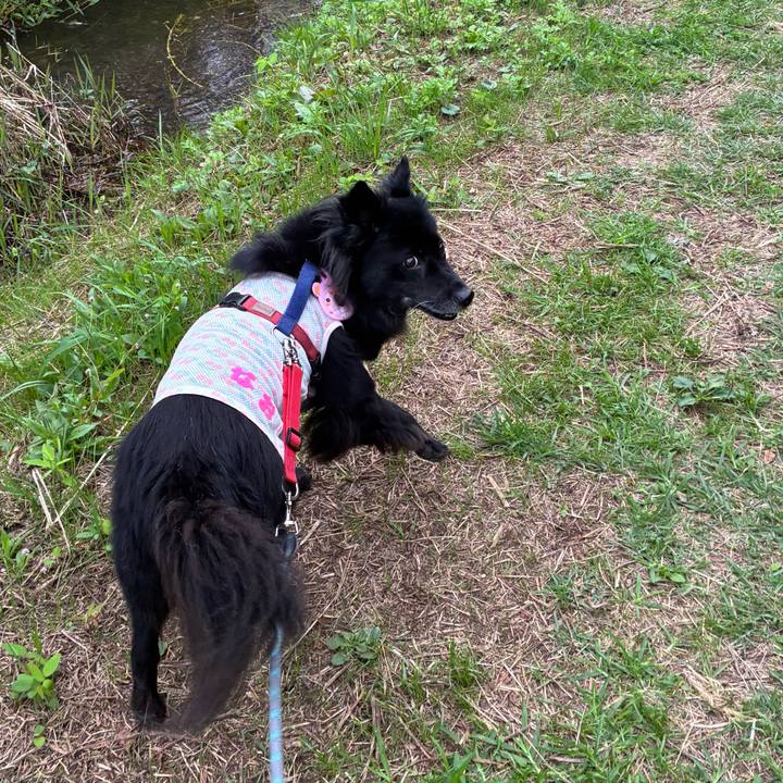 0d779a9b 49e4 4001 9f5a 74b9cabcfc1f 1760055163966