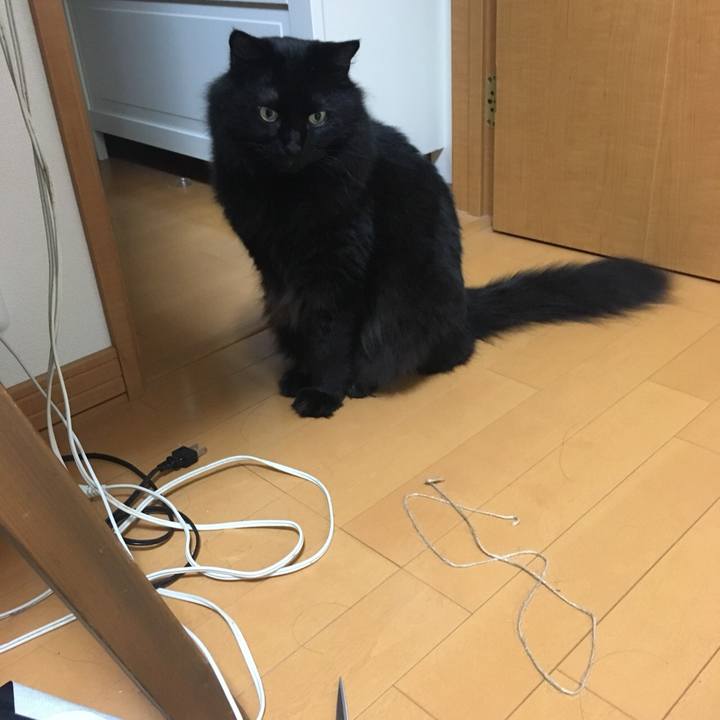 0d779b97 15a5 4f22 bcf6 5711ba77d94f 1532087280775