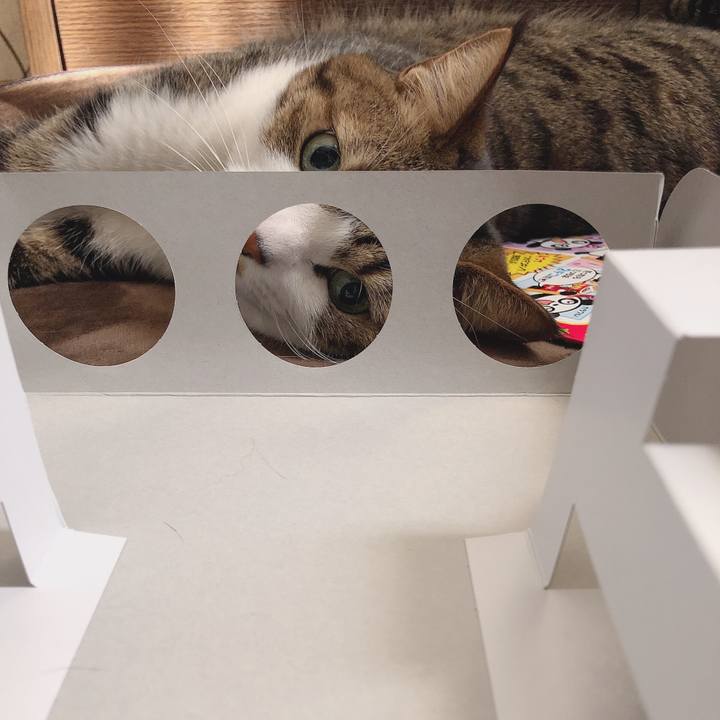 0d77a7a7 0ca1 459c b78d dd40067369fc 1553085230665