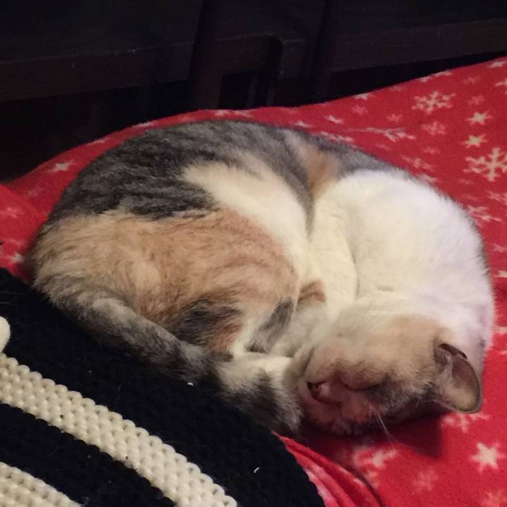 0d77ba7c 9cb7 4100 a4cd 0e2cb73535a0 1574866705675