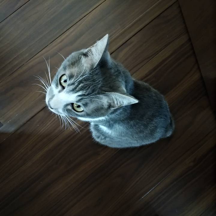 0d77e9c9 cb4d 4276 950d cd703e0f0aa6 1589950485185