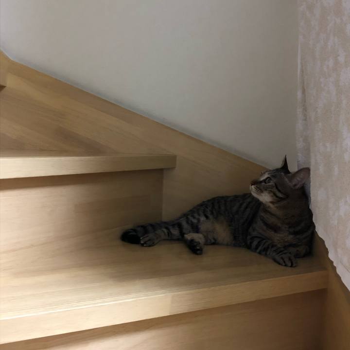 0d77faa1 c70b 451e 9a70 196d4c6c2c8c 1536176917643